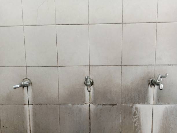 Best Water damage restoration company  in Greenbrier, TN